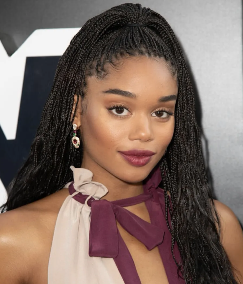 12 Stunning Bohemian Braids Hairstyles for Black Women – Hermosa Hair